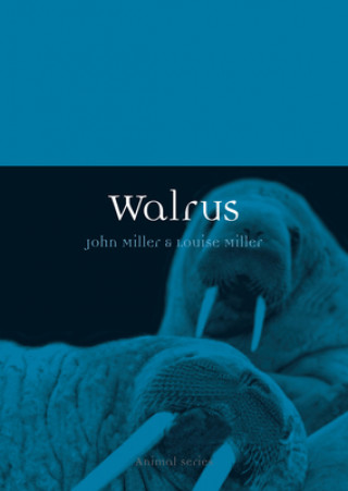 Könyv Walrus John Miller & Louise Miller