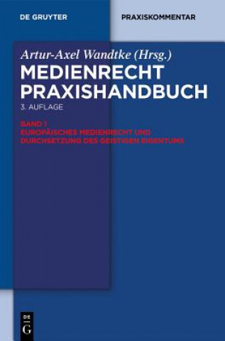 Livre Europaisches Medienrecht Und Durchsetzung Des Geistigen Eigentums Oliver Castendyk