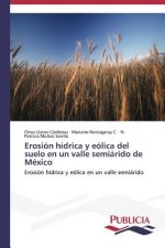 Könyv Erosion hidrica y eolica del suelo en un valle semiarido de Mexico Omar Llanes Cárdenas