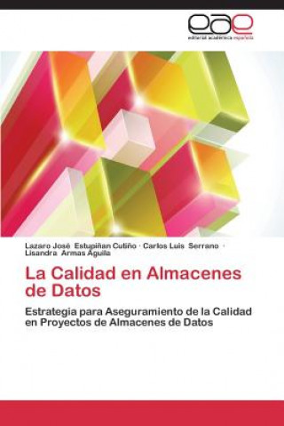 Buch Calidad en Almacenes de Datos Lazaro José Estupi