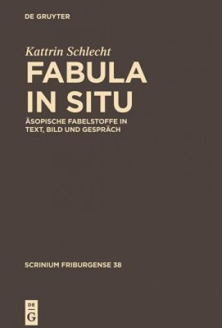 Kniha Fabula in situ Kattrin Schlecht