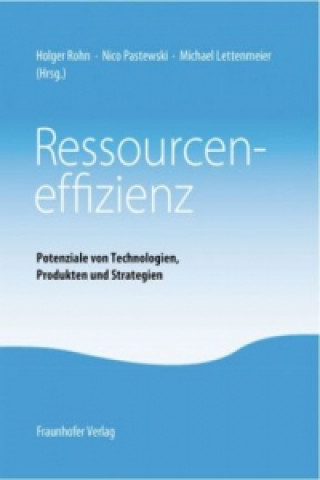 Kniha Ressourceneffizienz. Holger Rohn