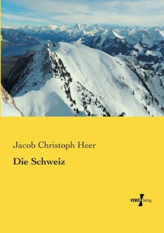 Carte Schweiz Jacob Christoph Heer
