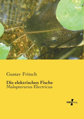 Книга elektrischen Fische Gustav Fritsch