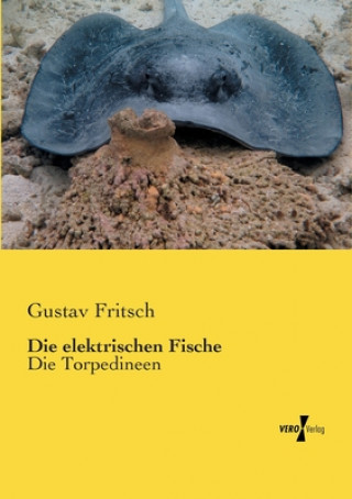 Könyv elektrischen Fische Gustav Fritsch