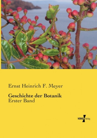 Buch Geschichte der Botanik Ernst Heinrich F. Meyer