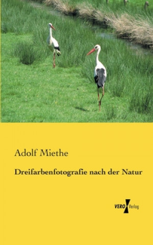 Kniha Dreifarbenfotografie nach der Natur Adolf Miethe