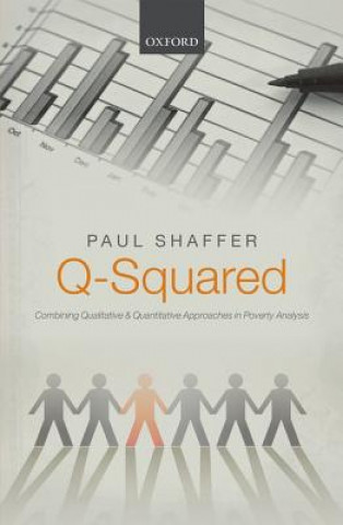 Book Q-Squared Paul Shaffer