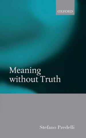 Könyv Meaning without Truth Stefano Predelli