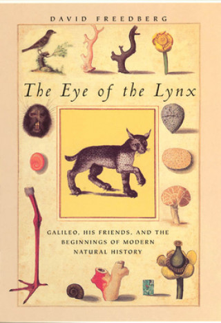 Kniha Eye of the Lynx David Freedberg