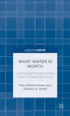Книга What Water Is Worth: Overlooked Non-Economic Value in Water Resources Kira Artemis Russo