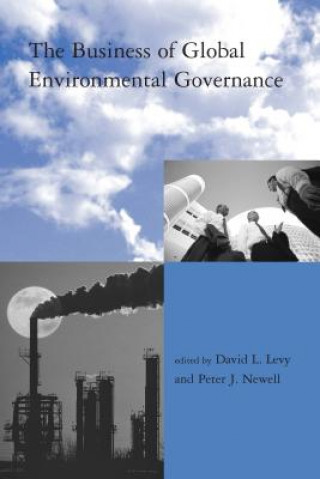 Carte Business of Global Environmental Governance D.L. Levy