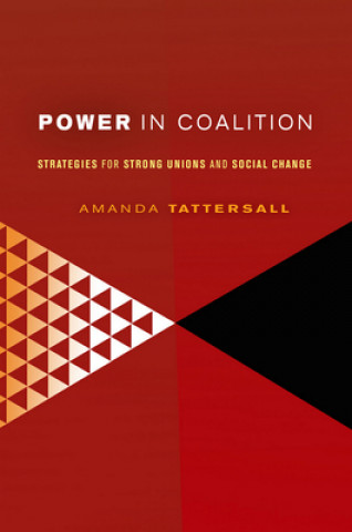 Kniha Power in Coalition Amanda Tattersall