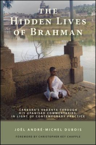 Carte Hidden Lives of Brahman Joel Andre Michel Dubois