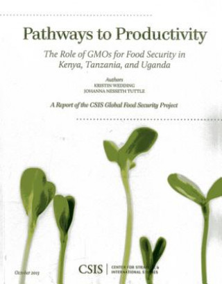 Knjiga Pathways to Productivity Kristin Wedding