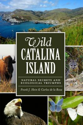 Книга Wild Catalina Island Frank J Hein