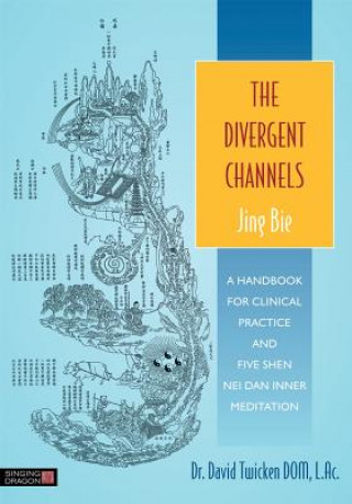 Книга Divergent Channels - Jing Bie Dr David Twicken Dom Lac