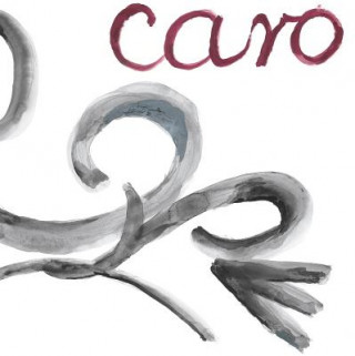 Buch Anthony Caro Mary Reid