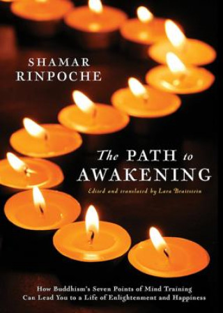 Kniha Path To Awakening Shamar Rinpoche