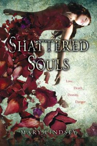 Книга Shattered Souls Mary Lindsey