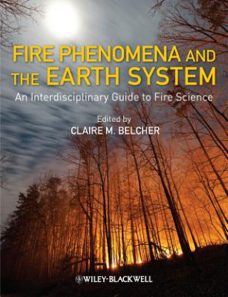Könyv Fire Phenomena and the Earth System - An Interdisciplinary Guide to Fire Science Claire M. Belcher