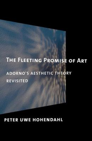 Kniha Fleeting Promise of Art Peter Uwe Hohendahl