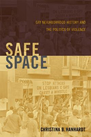 Knjiga Safe Space Christina B. Hanhardt