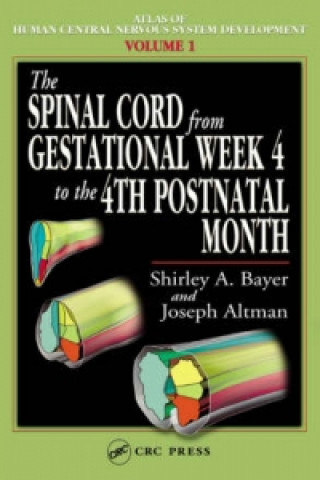 Книга Spinal Cord from Gestational Week 4 to the 4th Postnatal Month Shirley A Bayer