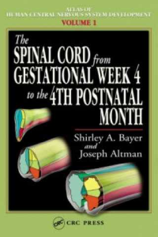 Kniha Spinal Cord from Gestational Week 4 to the 4th Postnatal Month Shirley A Bayer