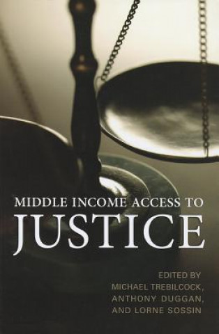 Книга Middle Income Access to Justice Michael Trebilcock