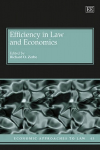 Könyv Efficiency in Law and Economics Richard O Zerbe