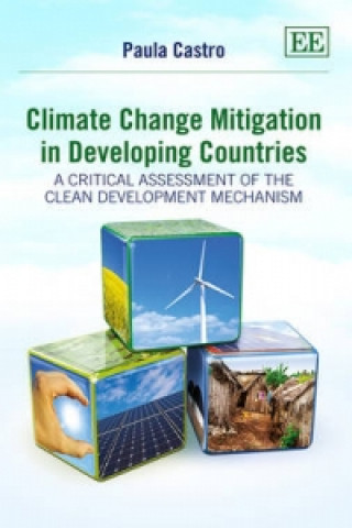 Carte Climate Change Mitigation in Developing Countries Paula Castro