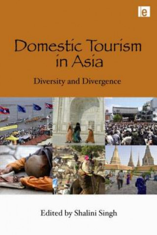 Knjiga Domestic Tourism in Asia Shalini Singh