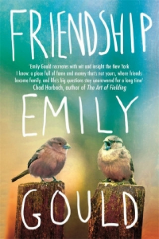 Buch Friendship Emily Gould