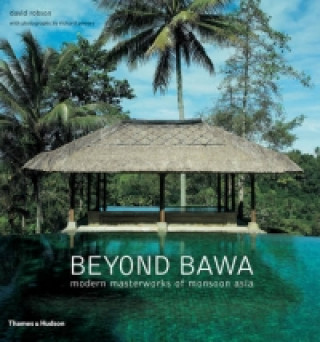 Kniha Beyond Bawa Robson David