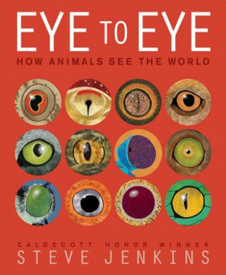 Könyv Eye to Eye Steve Jenkins