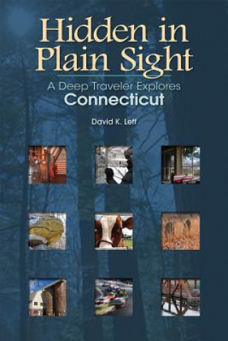 Knjiga Hidden in Plain Sight David Leff
