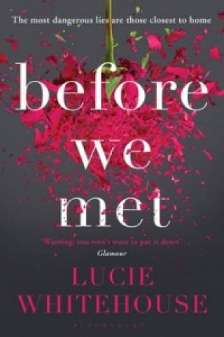 Book Before We Met Lucie Whitehouse