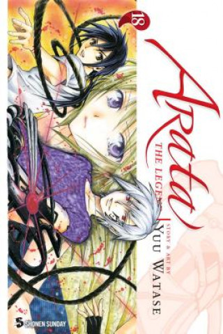 Kniha Arata 18 Yuu Watase