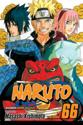 Kniha Naruto, Vol. 66 Masashi Kishimoto