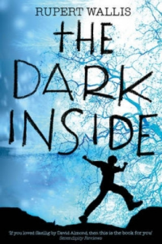 Könyv Dark Inside Rupert Wallis