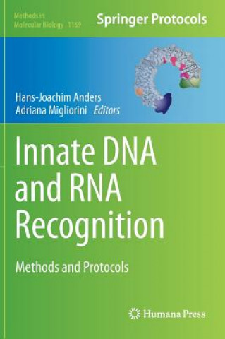 Kniha Innate DNA and RNA Recognition Hans-Joachim Anders
