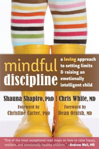 Kniha Mindful Discipline Shauna Shapiro
