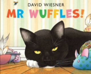 Kniha Mr Wuffles! David Wiesner