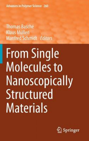 Könyv From Single Molecules to Nanoscopically Structured Materials Thomas Basche