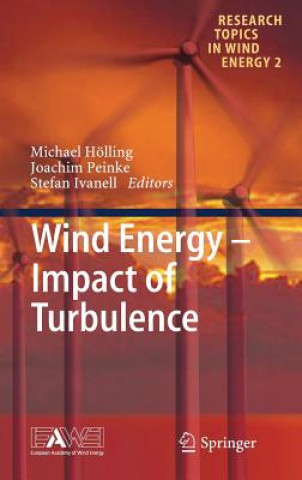 Kniha Wind Energy - Impact of Turbulence Michael Hölling