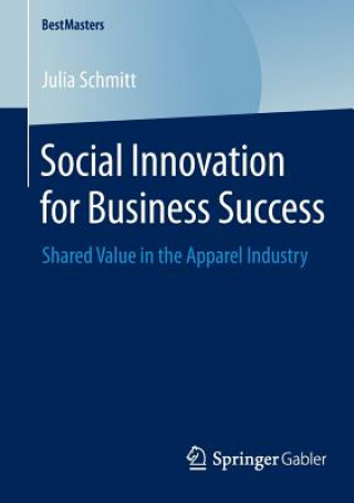 Kniha Social Innovation for Business Success Julia Schmitt