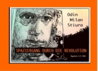 Könyv Spaziergang durch die Revolution Odin Milan Stiura
