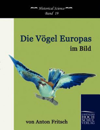 Könyv Voegel Europas im Bild Anton Fritsch