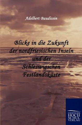 Carte Blicke in die Zukunft der nordfriesischen Inseln und der Schleswigschen Festlandskuste Adelbert Baudissin